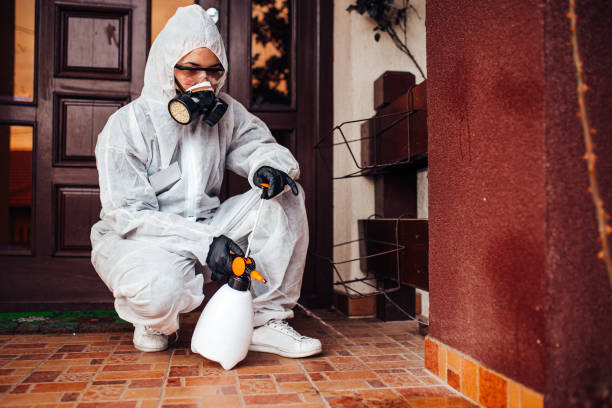Reliable Cockroach Control contractor in Chico, TX by Nex Pest Control