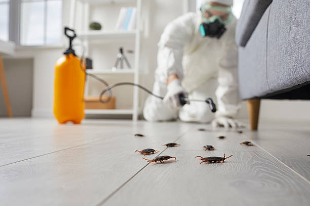 Trusted Fumigation Services service in Chico, TX - Nex Pest Control